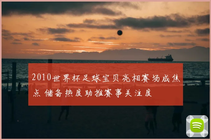 2010世界杯足球宝贝亮相赛场成焦点 储备热度助推赛事关注度