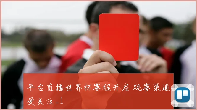 平台直播世界杯赛程开启 观赛渠道受关注_1