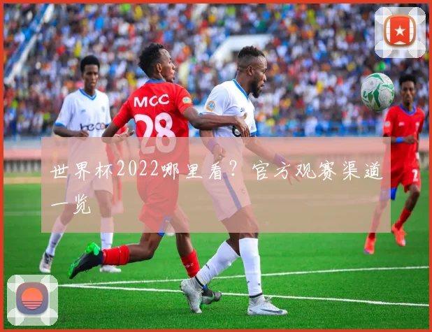 世界杯2022哪里看?官方观赛渠道一览