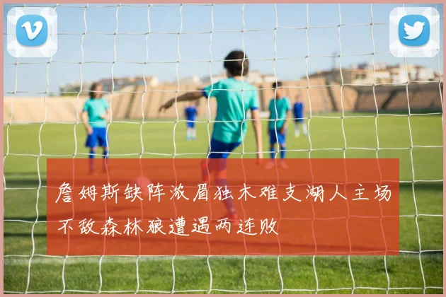 詹姆斯缺阵浓眉独木难支湖人主场不敌森林狼遭遇两连败